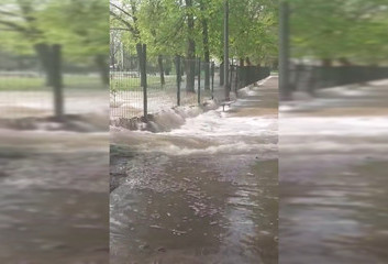POTOP NA KAROLEWIE