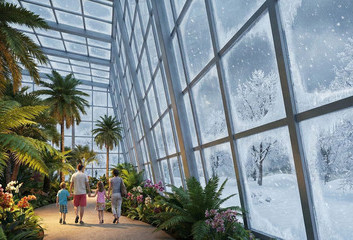 DŻUNGLA W BOTANIKU?