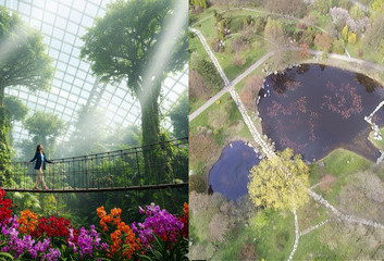 SP&Oacute;R O PRZYSZŁOŚĆ OGRODU BOTANICZNEGO