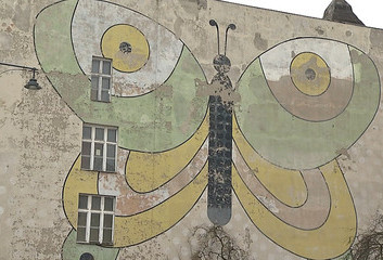 ZAMIAST MOTYLA - BIBLIOTEKA