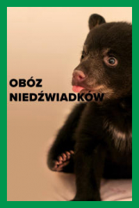 Obóz niedźwiadków