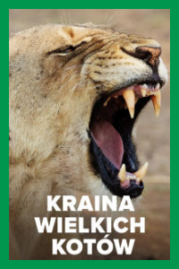 Kraina Wielkich Kotów