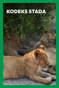 Kodeks stada