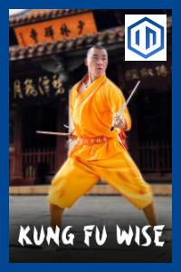 Kung Fu Wise