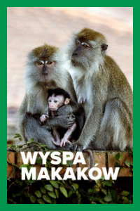 Wyspa makaków