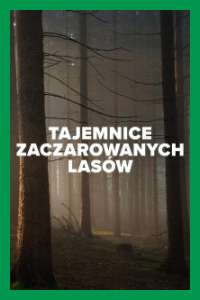 Tajemnice zaczarowanych lasów