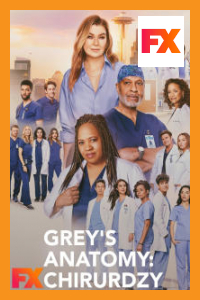 Grey`s Anatomy: Chirurdzy 21