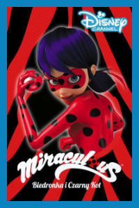 Miraculous: Biedronka i Czarny Kot 6