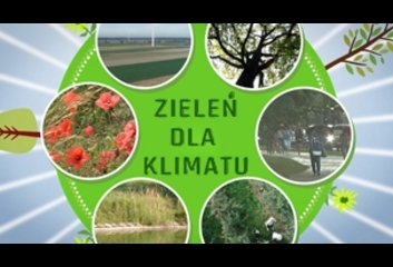 Zieleń dla klimatu