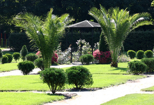 Ogród Botaniczny i Palmiarnia w Łodzi.