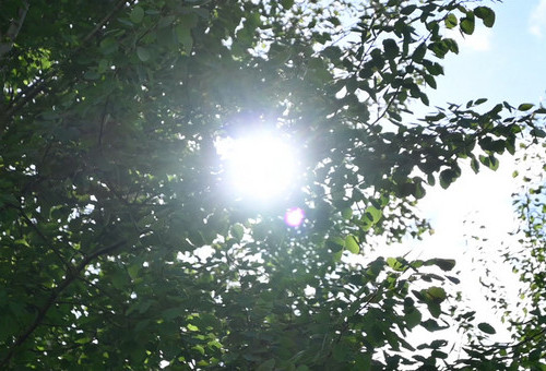 Potęga zdrowia 02.06.2025