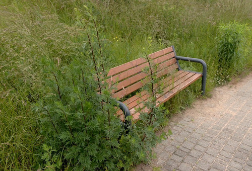 Niewydarzony parking i inne absurdy