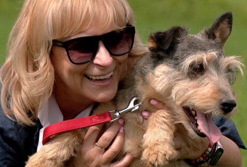 Sesja adopcyjana czworonogów ze Schroniska Psiakowo i Spółka