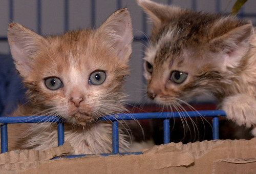 Łódzkie dla Ciebie 16.08.2025