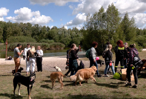 Psiejskie spacery na Uroczysku