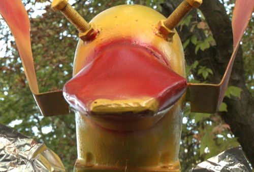 5 urodziny Konia Bałutka