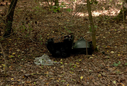 Parki w złym stanie - c.d.