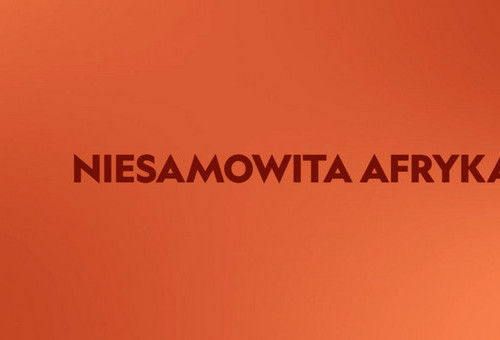 Hity z dekodera 01.10.2025