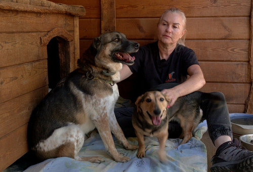 Cztery łapy 11.10.2025