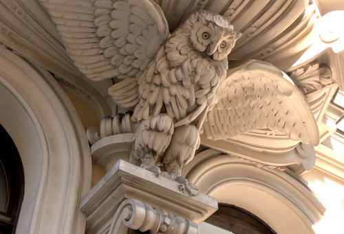 Śladami Łódzkiej Kamienicy