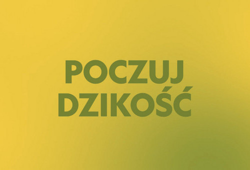 Hity z dekodera 03.12.2025