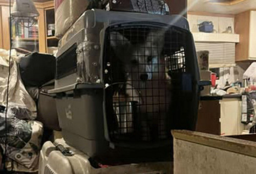 Przegląd najważniejszych wydarzeń pomiędzy 5 a 11 stycznia