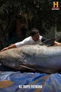 Na tropie potwora, odc. 4