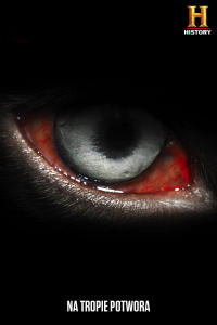 Na tropie potwora, odc. 2