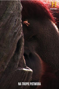 Na tropie potwora, odc. 3