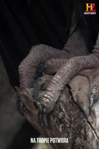 Na tropie potwora, odc. 6