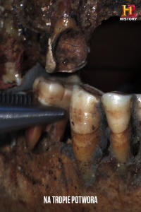 Na tropie potwora, odc. 7