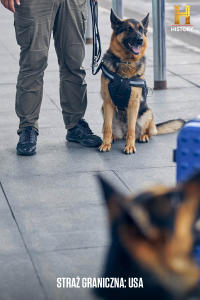 Straż graniczna: USA 2, odc. 10