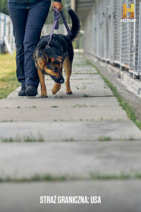 Straż graniczna: USA 2, odc. 7