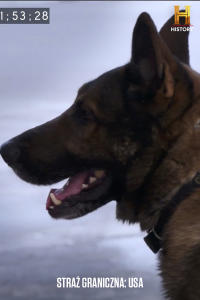 Straż graniczna: USA 2, odc. 13