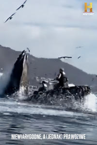 Niewiarygodne, a (jednak) prawdziwe, odc. 3