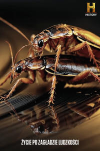 Życie po zagładzie ludzkości 3, odc. 5