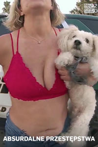 Absurdalne przestępstwa 3, odc. 15