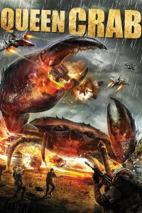 Królowa krabów