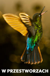 W przestworzach, odc. 1