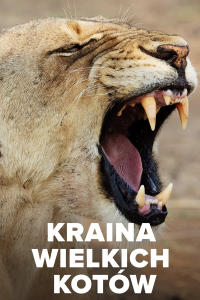 Kraina Wielkich Kotów, odc. 1