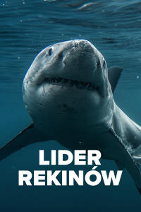 Lider rekinów