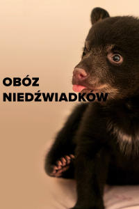 Obóz niedźwiadków, odc. 1