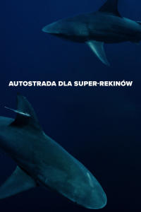 Autostrada dla super-rekinów, odc. 1