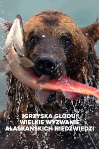 Igrzyska głodu: Wielkie wyzwanie alaskańskich niedźwiedzi, odc. 1