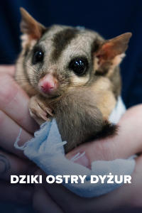 Dziki ostry dyżur, odc. 1