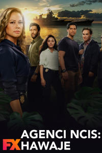 Agenci NCIS: Hawaje 2, odc. 10