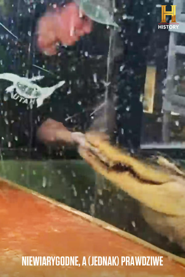 Niewiarygodne, a (jednak) prawdziwe, odc. 1