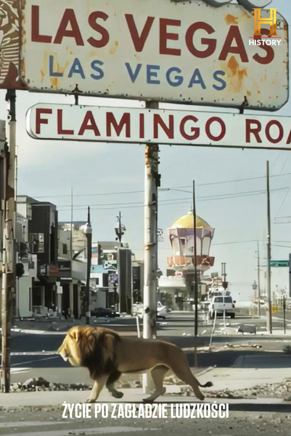 Life After People 3, odc. 2