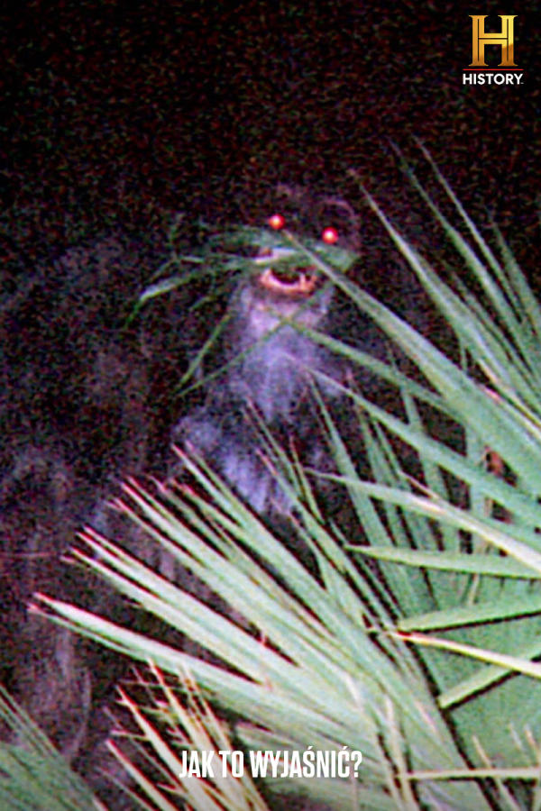 Jak to wyjaśnić? 5, odc. 8