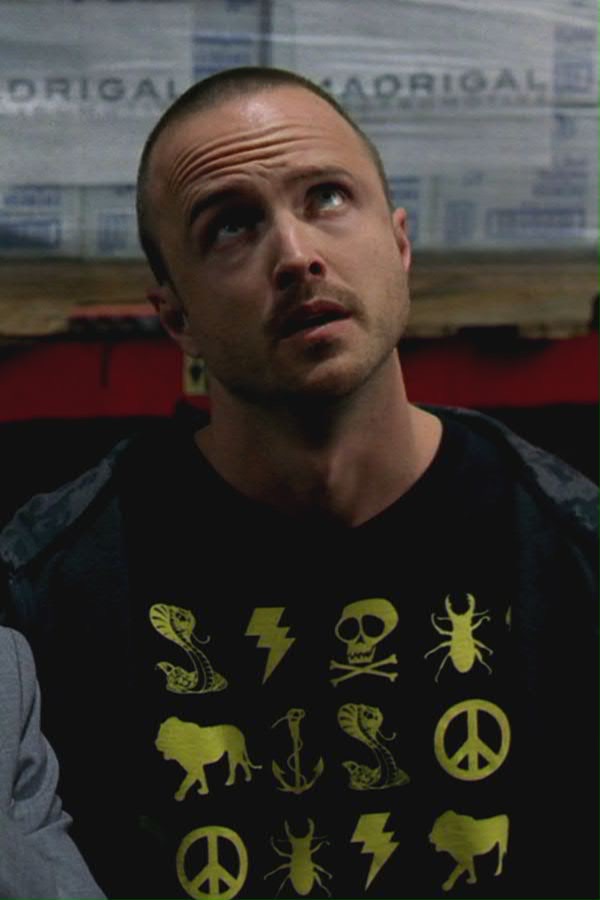 BREAKING BAD 5 odc. 4